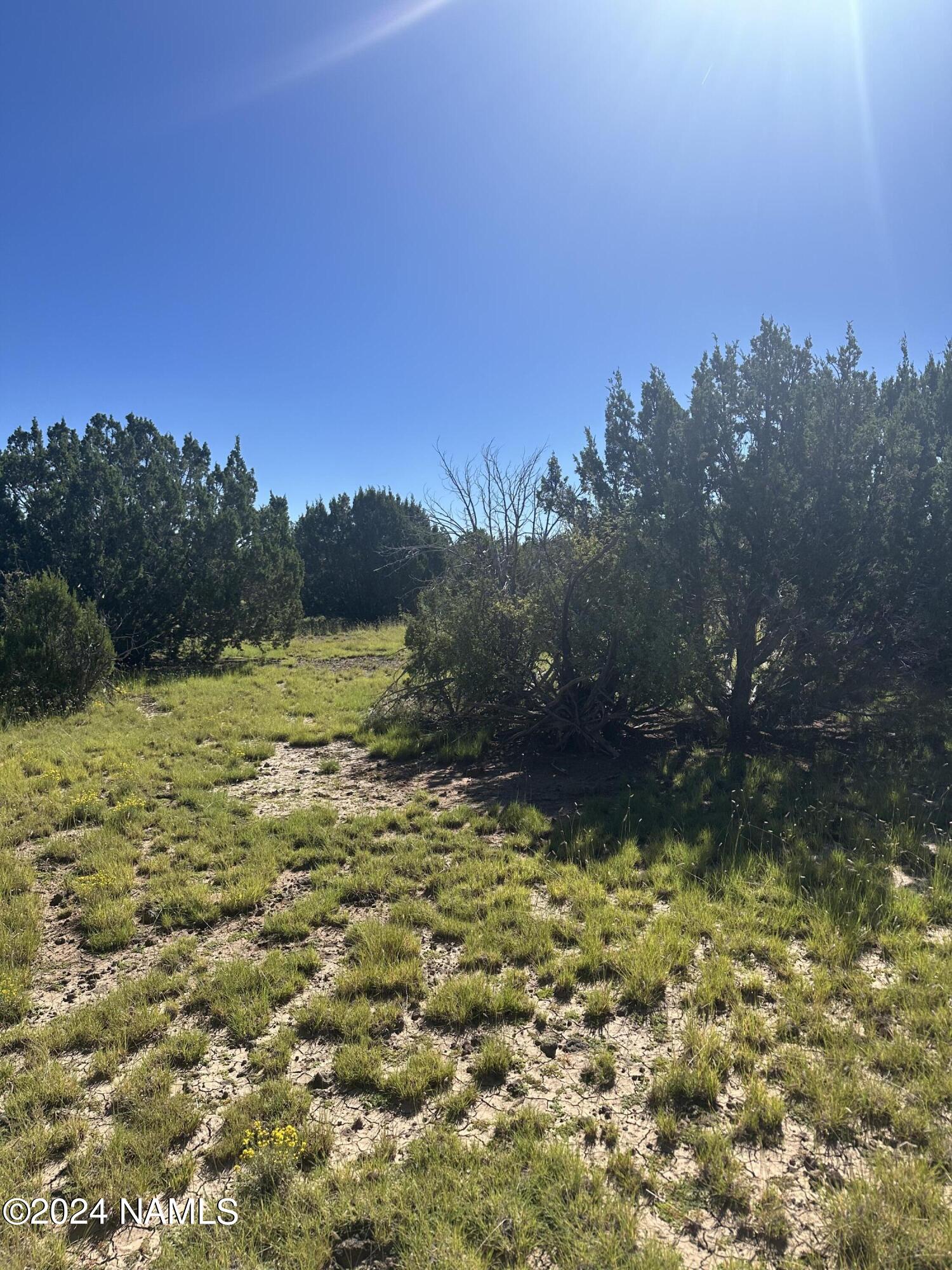 1259 East Cedar Road Williams, AZ 86046 - Photo 13 of 24 IMG_0289