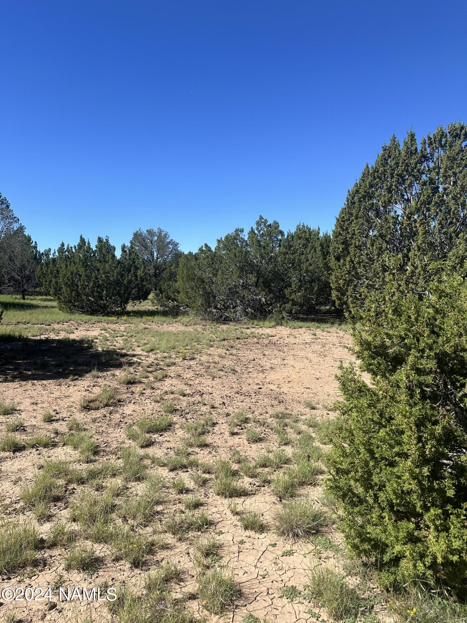 1259 East Cedar Road Williams, AZ 86046 - Photo 17 of 24 IMG_0291