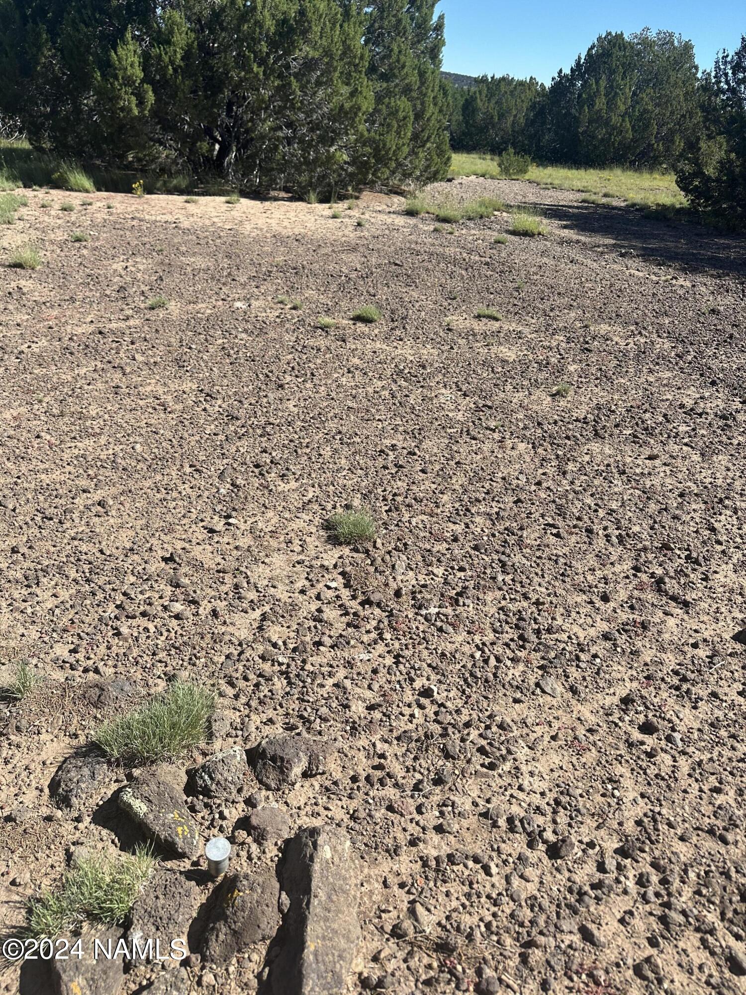1259 East Cedar Road Williams, AZ 86046 - Photo 18 of 24 IMG_0293