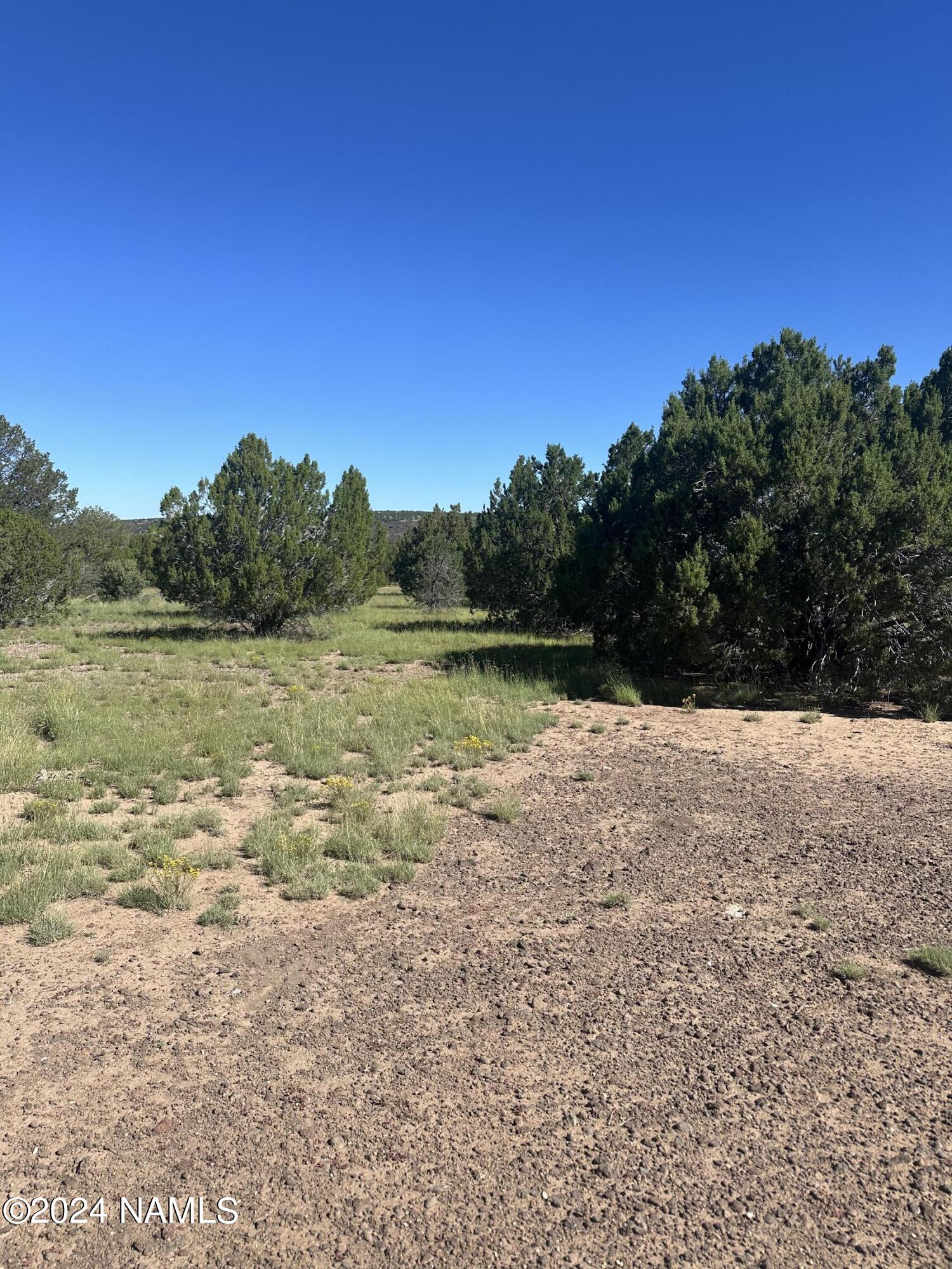 1259 East Cedar Road Williams, AZ 86046 - Photo 20 of 24 IMG_0295