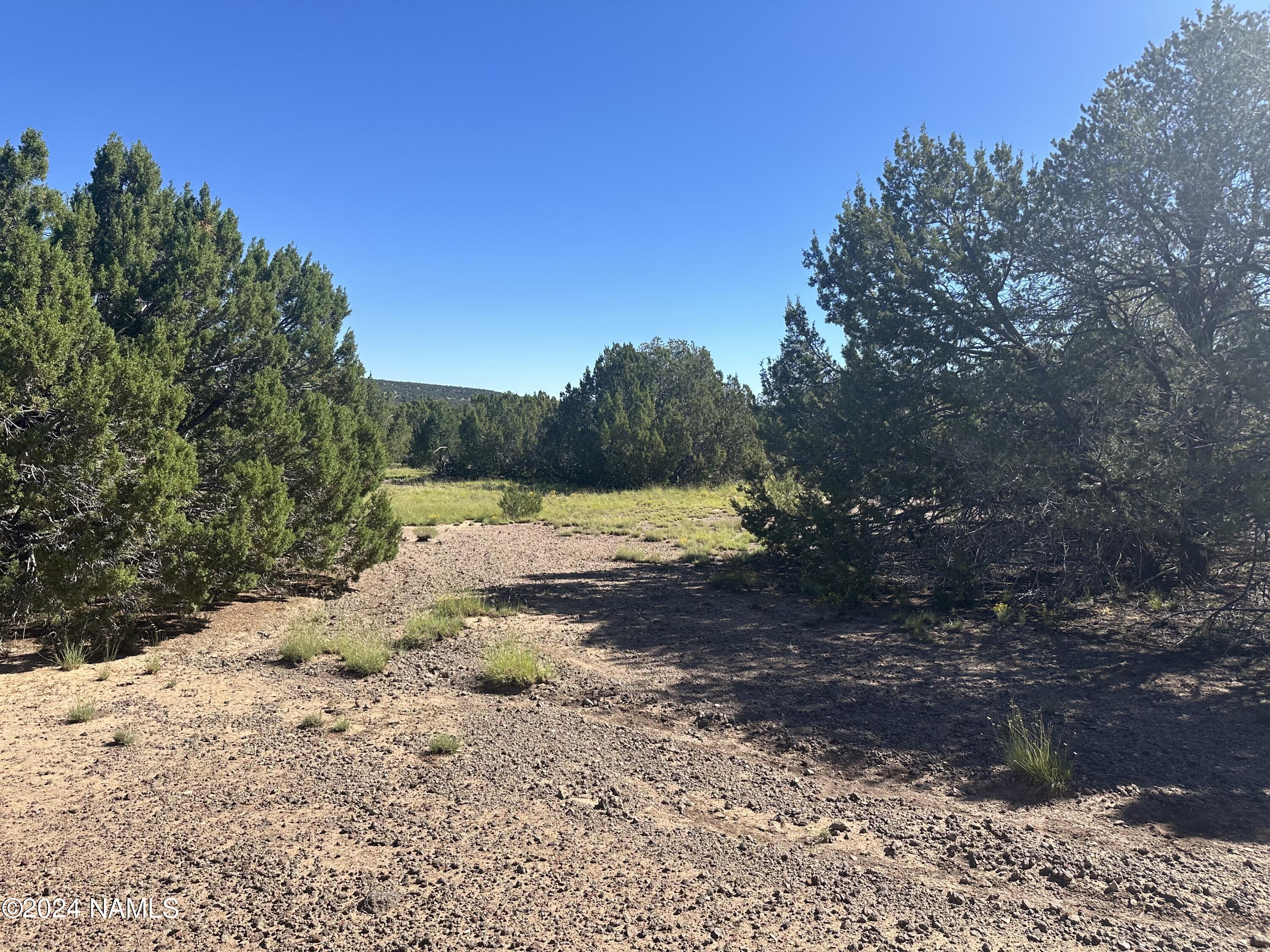 1259 East Cedar Road Williams, AZ 86046 - Photo 22 of 24 IMG_0297