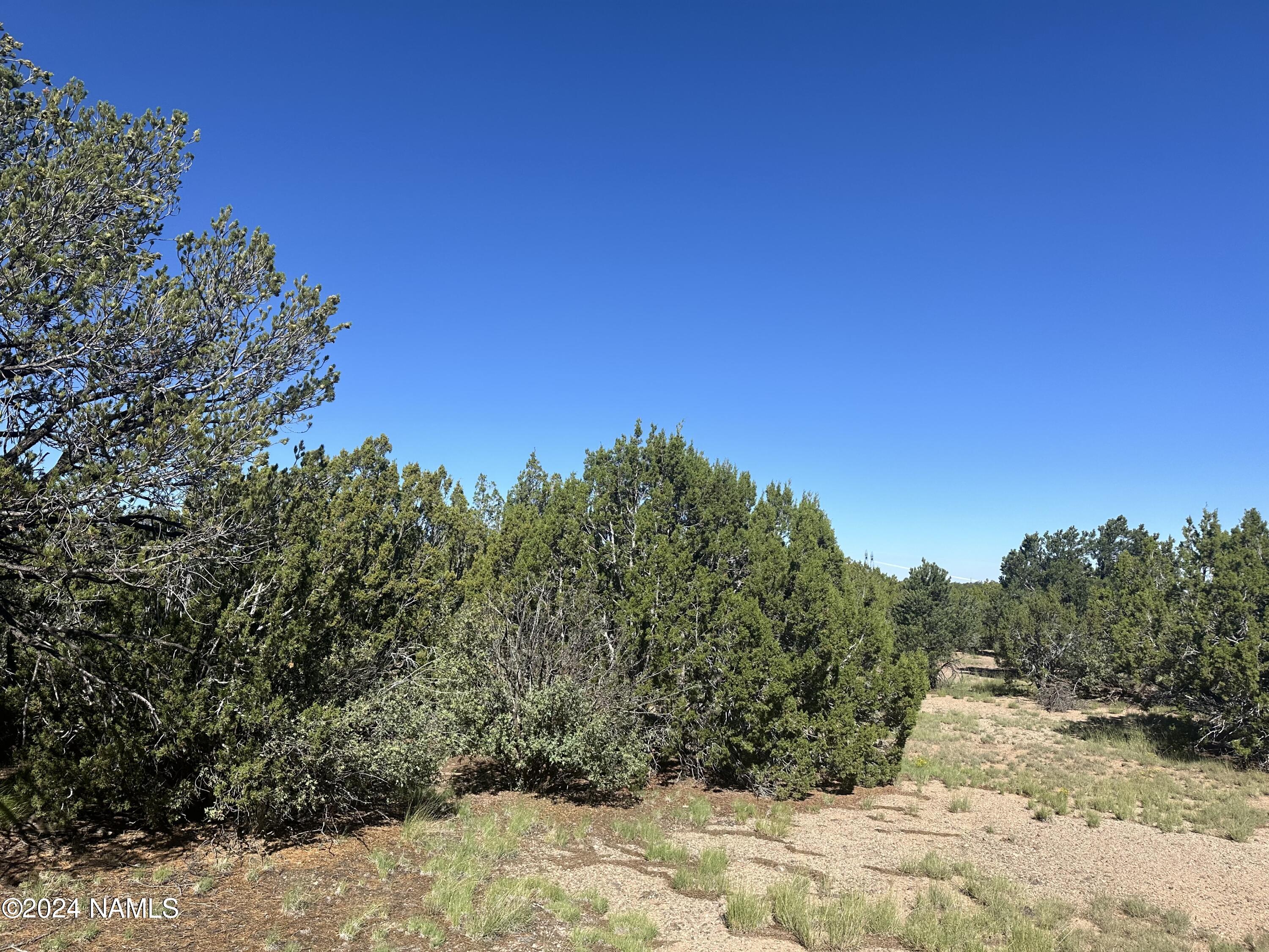 1259 East Cedar Road Williams, AZ 86046 - Photo 4 of 24 IMG_0280
