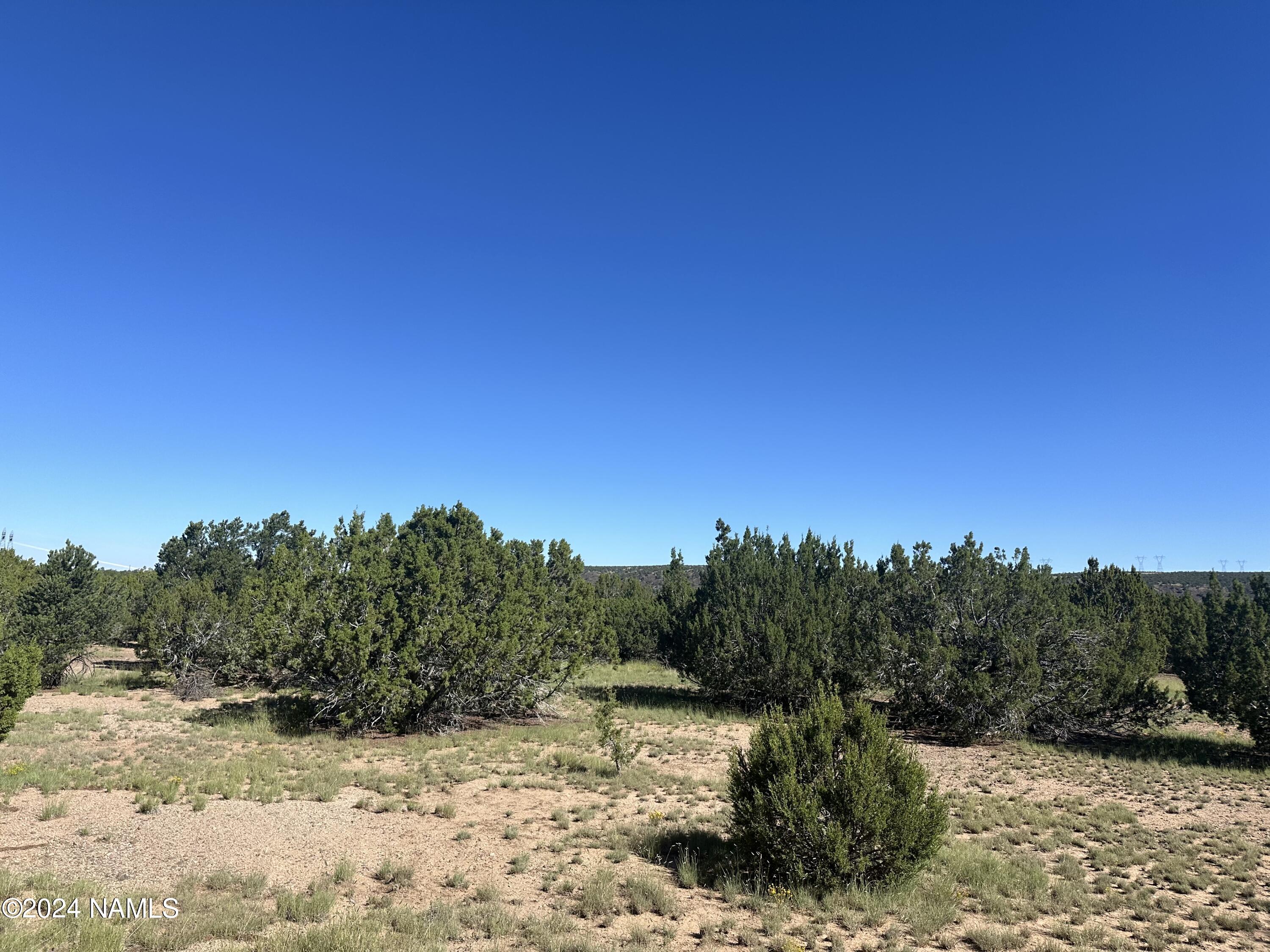 1259 East Cedar Road Williams, AZ 86046 - Photo 5 of 24 IMG_0279