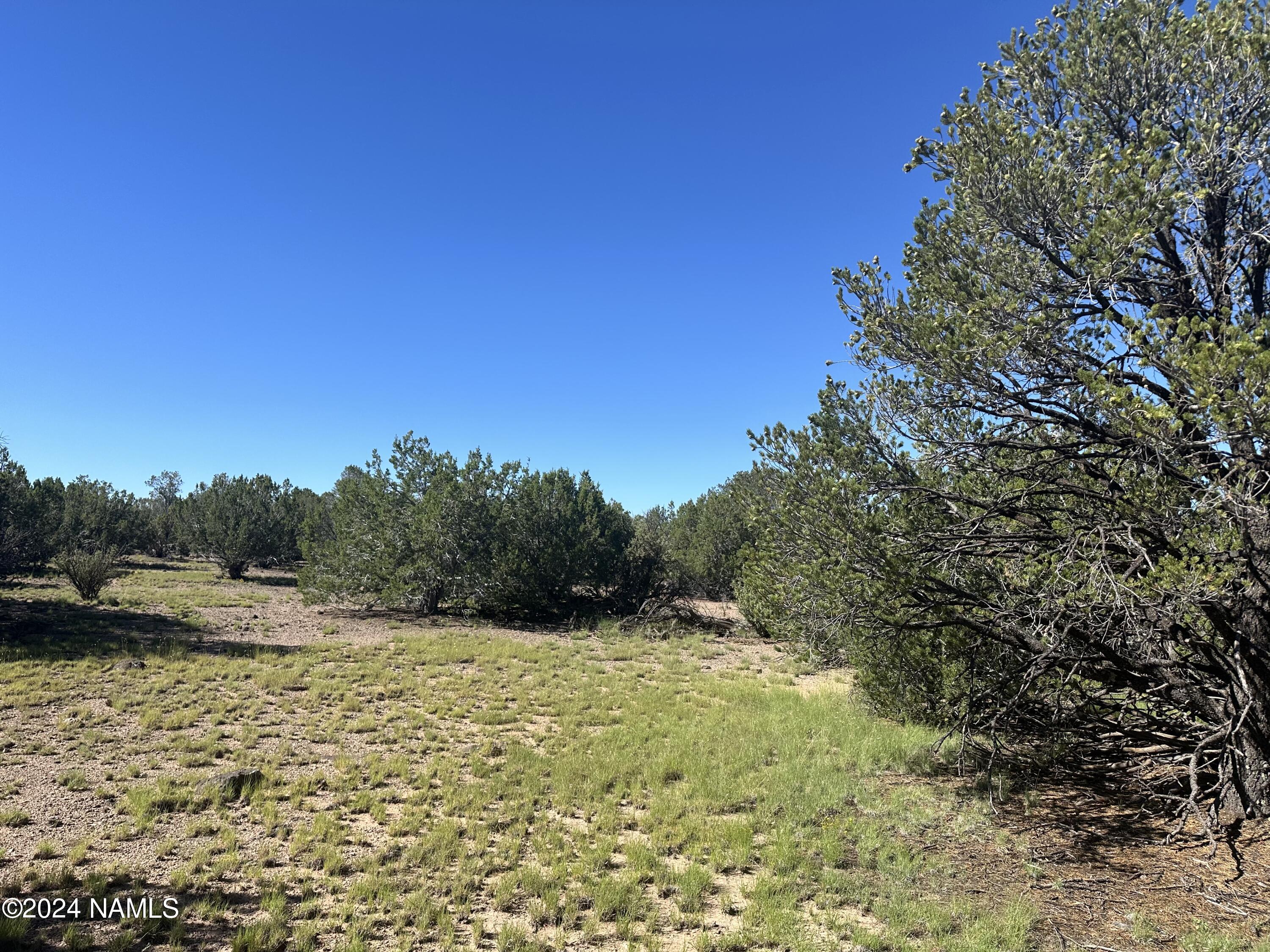 1259 East Cedar Road Williams, AZ 86046 - Photo 10 of 24 IMG_0281