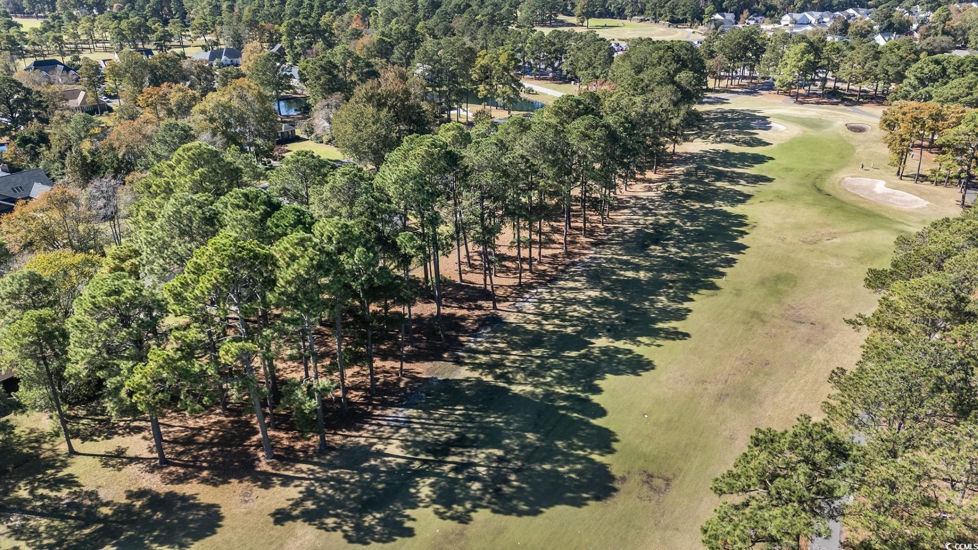 8209 Timber Ridge Road Conway, SC 29526 - Photo 38 of 39