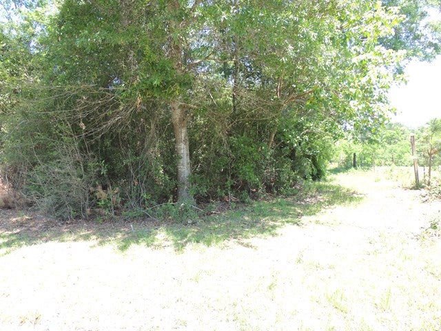 0 Slade Woodward Road Poplarville, MS 39470 - Photo 1 of 1 Gallery Image 1