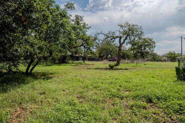 a view of a tree in a yard