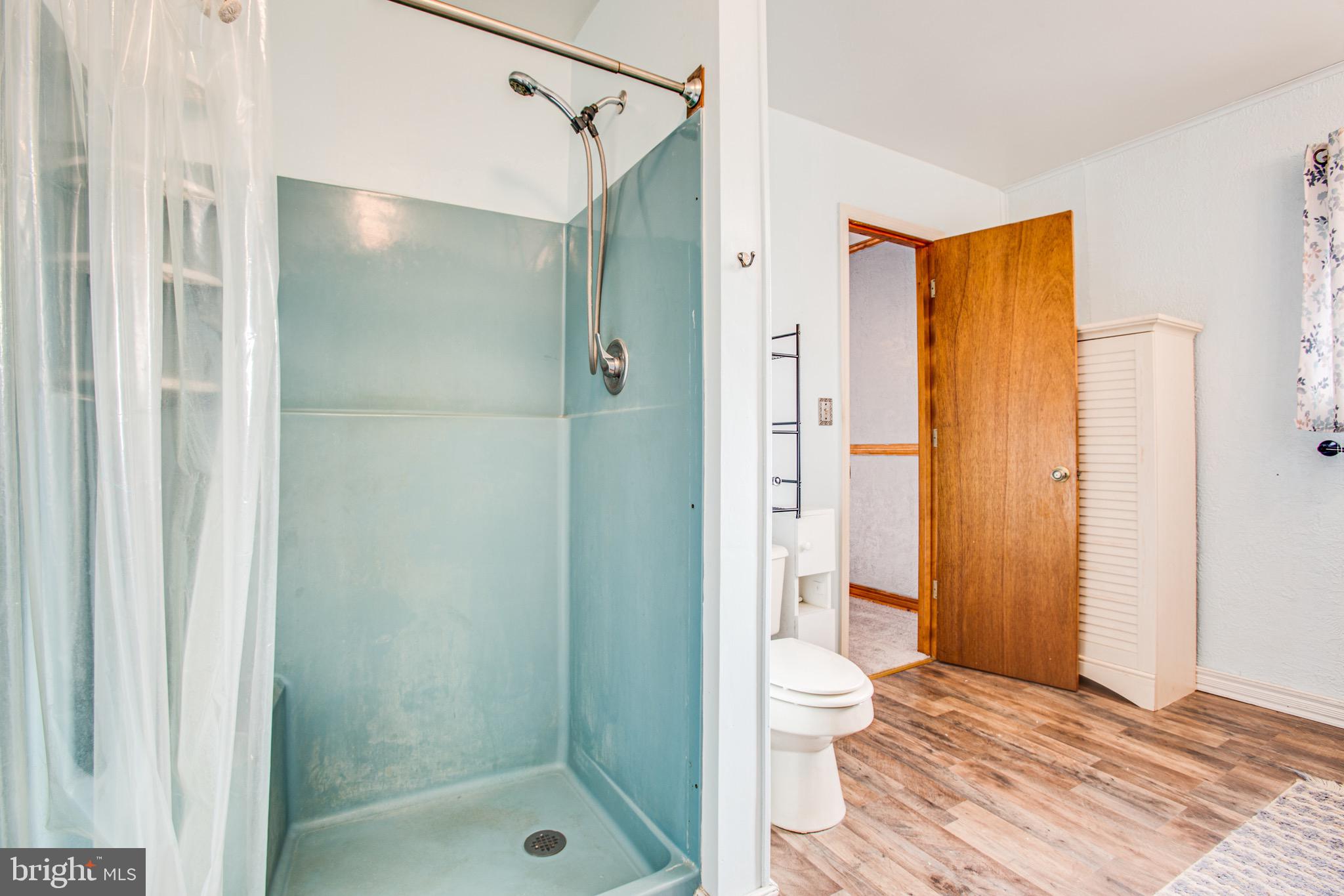 4000 Shepherds Road Partlow, VA 22534 - Photo 21 of 52 Primary bath shower stall
