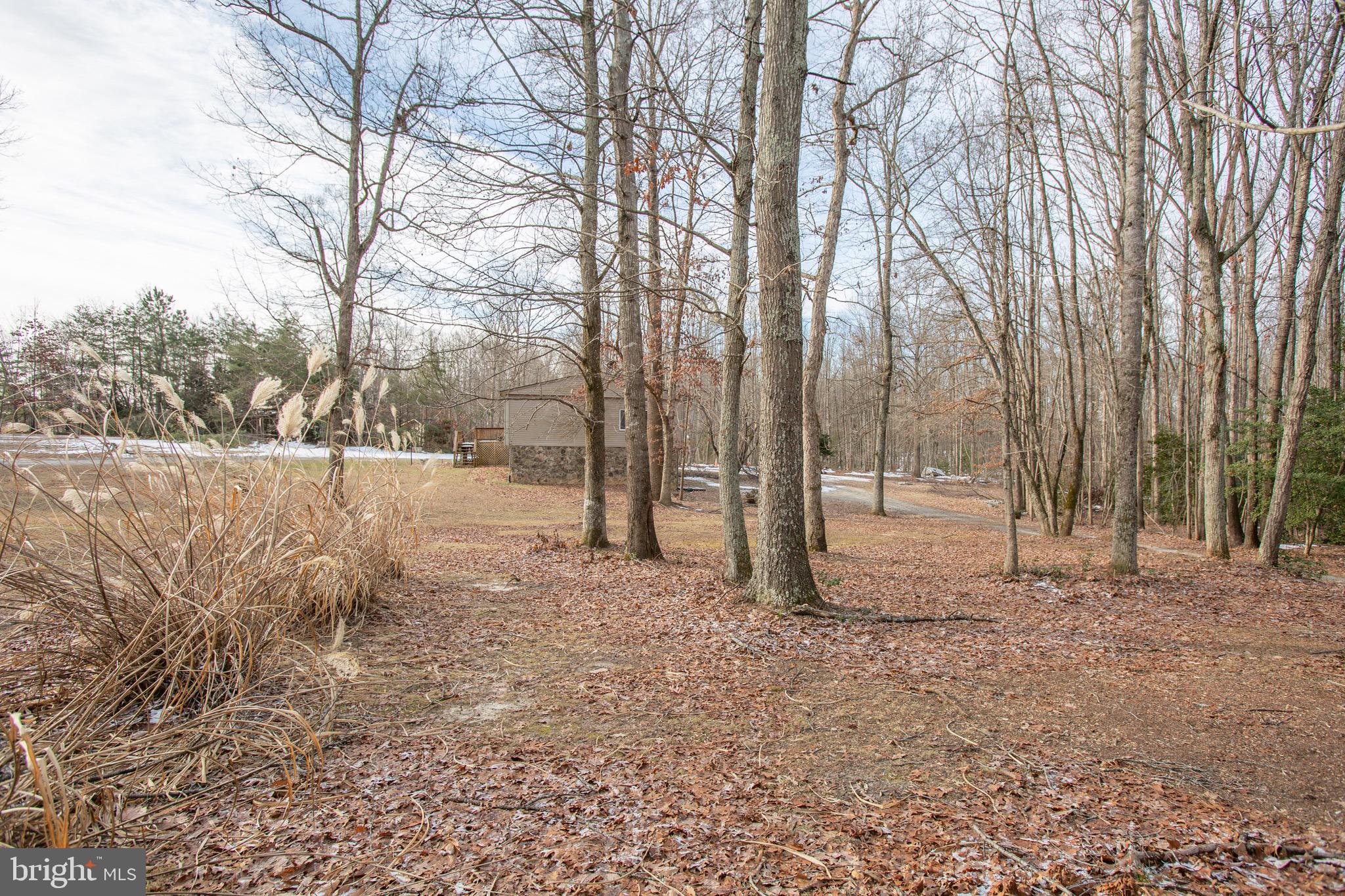 4000 Shepherds Road Partlow, VA 22534 - Photo 49 of 52 Side view of home