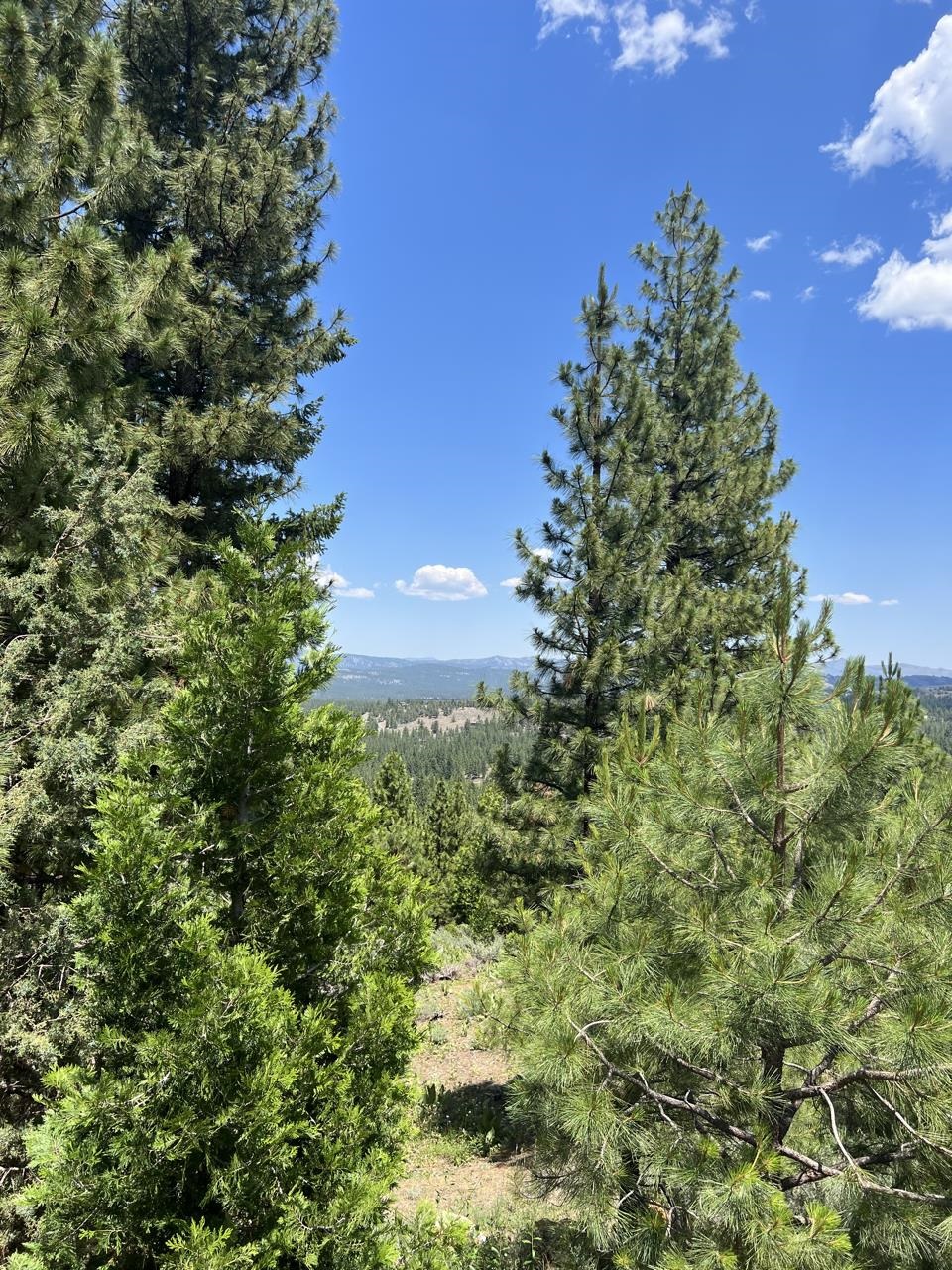 684 Star Top Unit 10