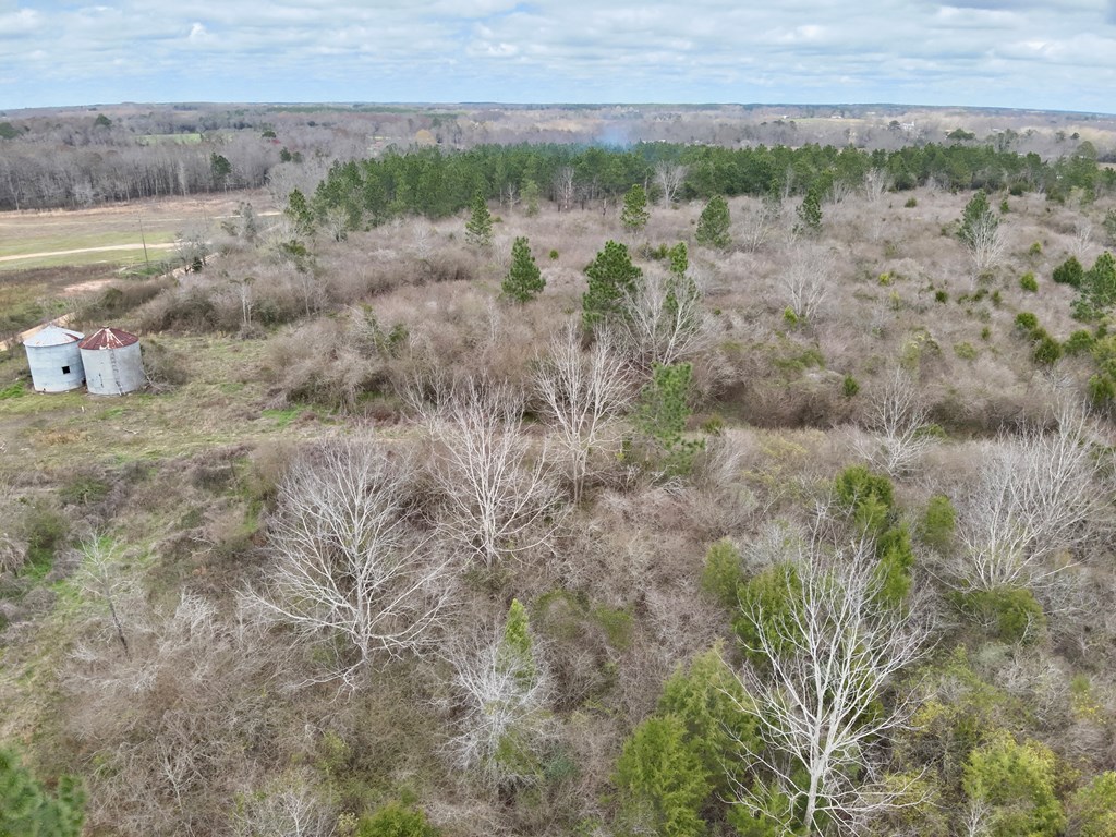 86-acres New Hinson Road Slocomb, AL 36375 - Photo 11 of 15