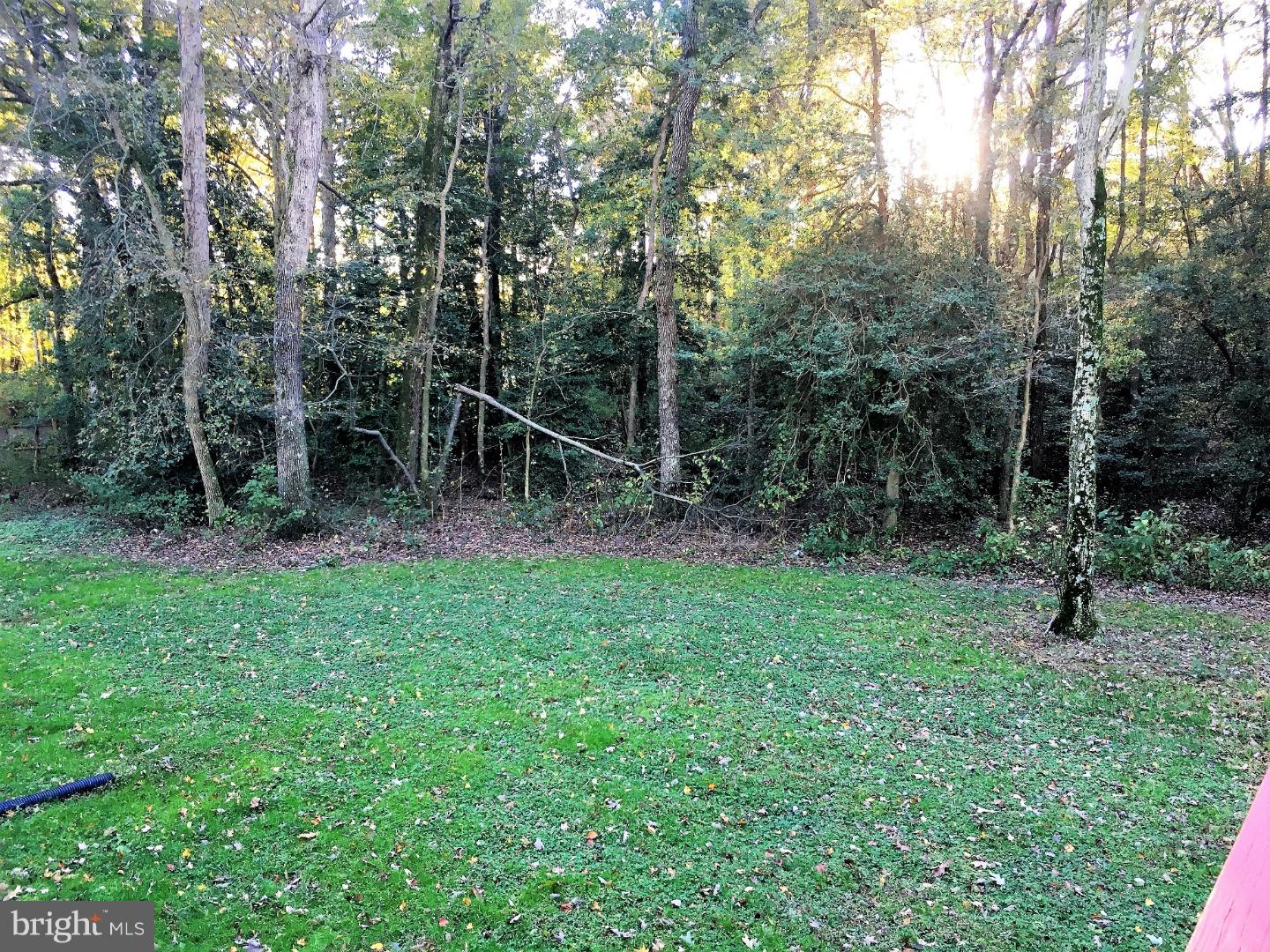 2461 Tower Road Hartly, DE 19953 - Photo 19 of 25 Back Yard