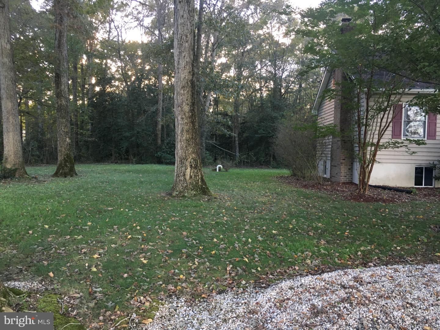2461 Tower Road Hartly, DE 19953 - Photo 24 of 25 Gallery Image 24