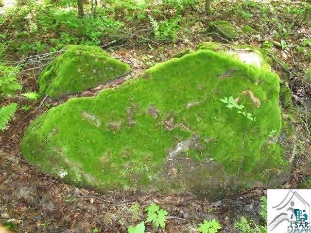 Xx Blesner Lake Road Finland, MN 55603 - Photo 8 of 24 Gallery Image 8