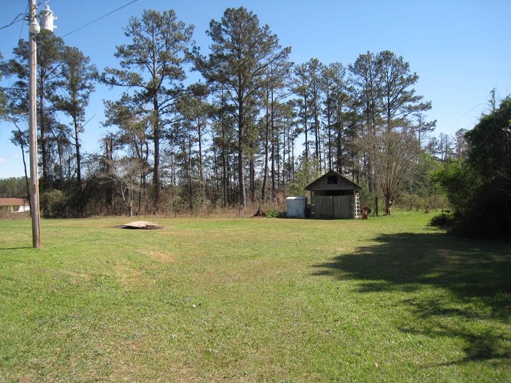 85 Kitetown Road Seale, AL 36875 - Photo 12 of 18 BACK YARD