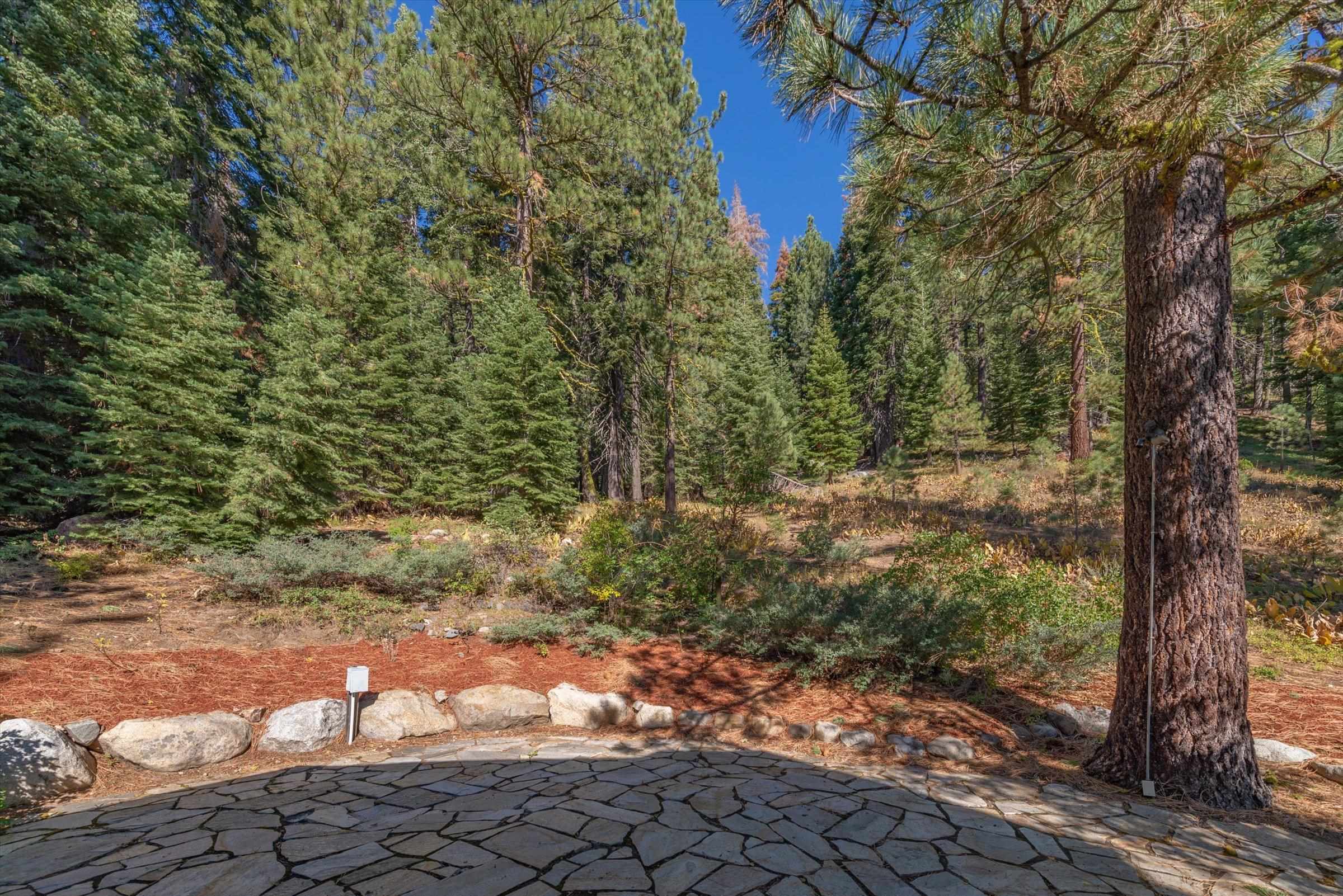 192 Hidden Lake Loop Olympic Valley, CA 96146 - Photo 13 of 21 a view of a yard with plants and trees