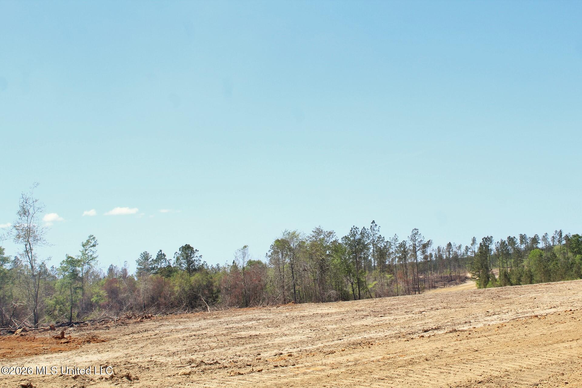 6.01-ac 6.01-ac Little Cedar Road Lucedale, MS 39452 - Photo 11 of 14 IMG_3484