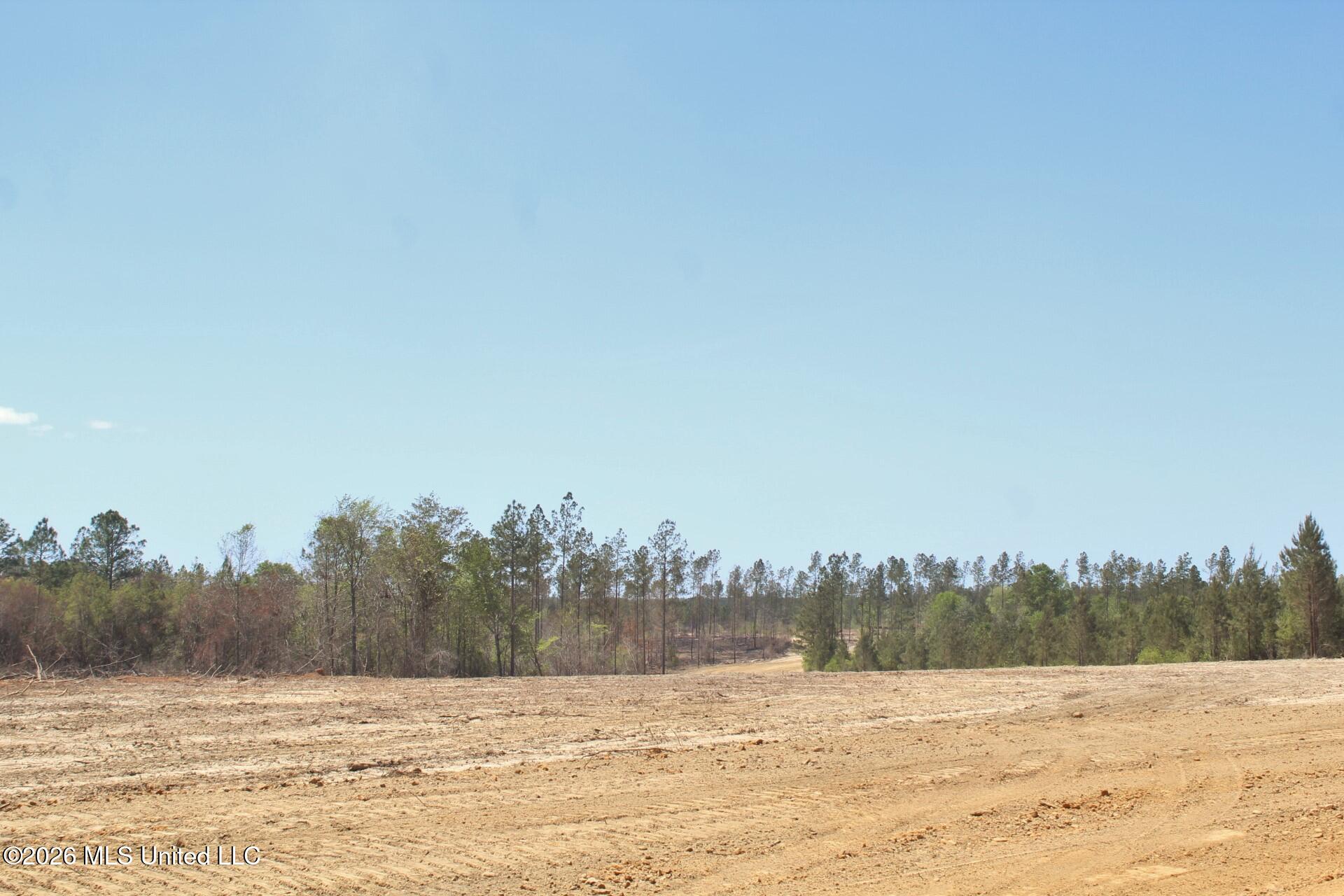 6.01-ac 6.01-ac Little Cedar Road Lucedale, MS 39452 - Photo 12 of 14 IMG_3485