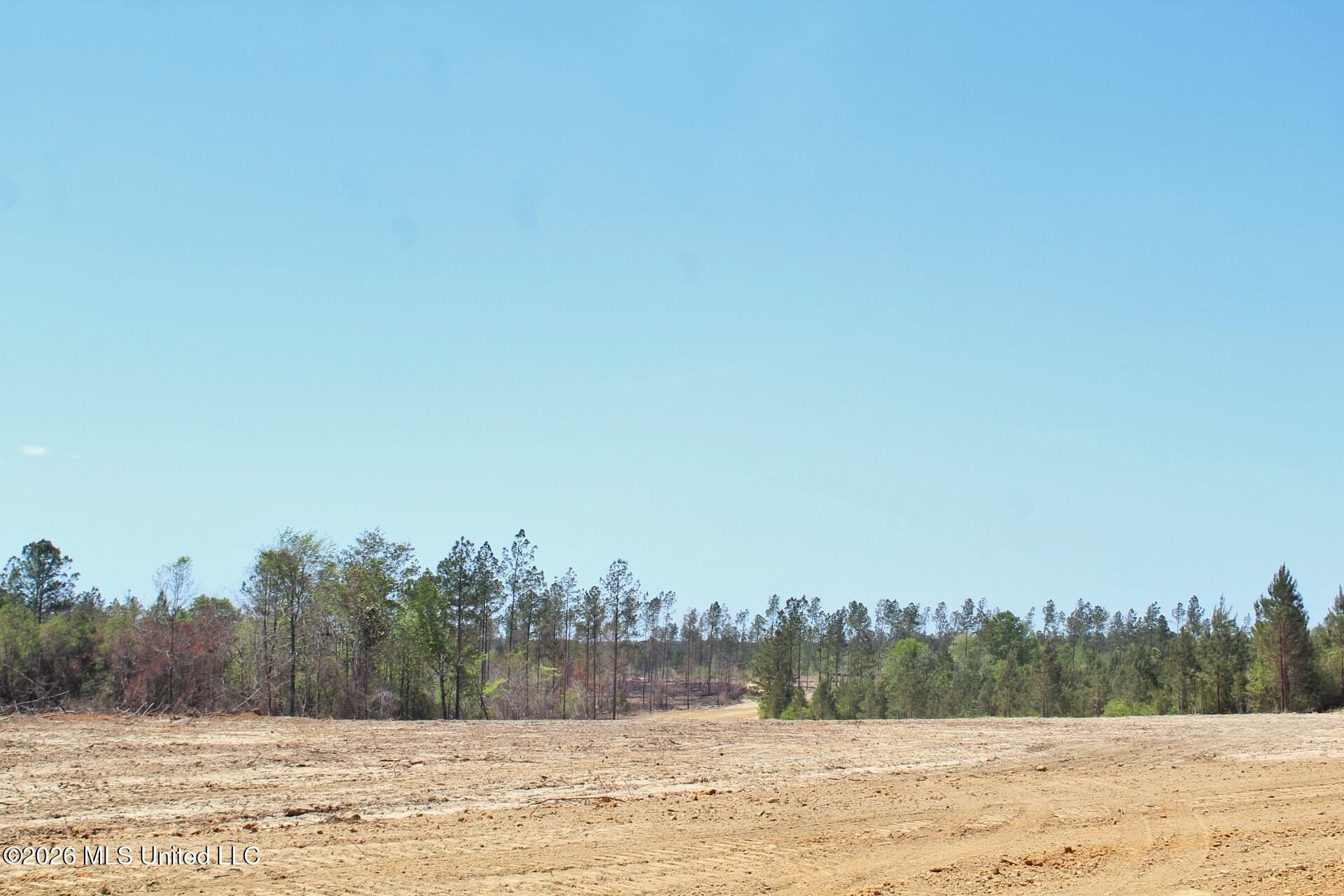 6.01-ac 6.01-ac Little Cedar Road Lucedale, MS 39452 - Photo 13 of 14 IMG_3486