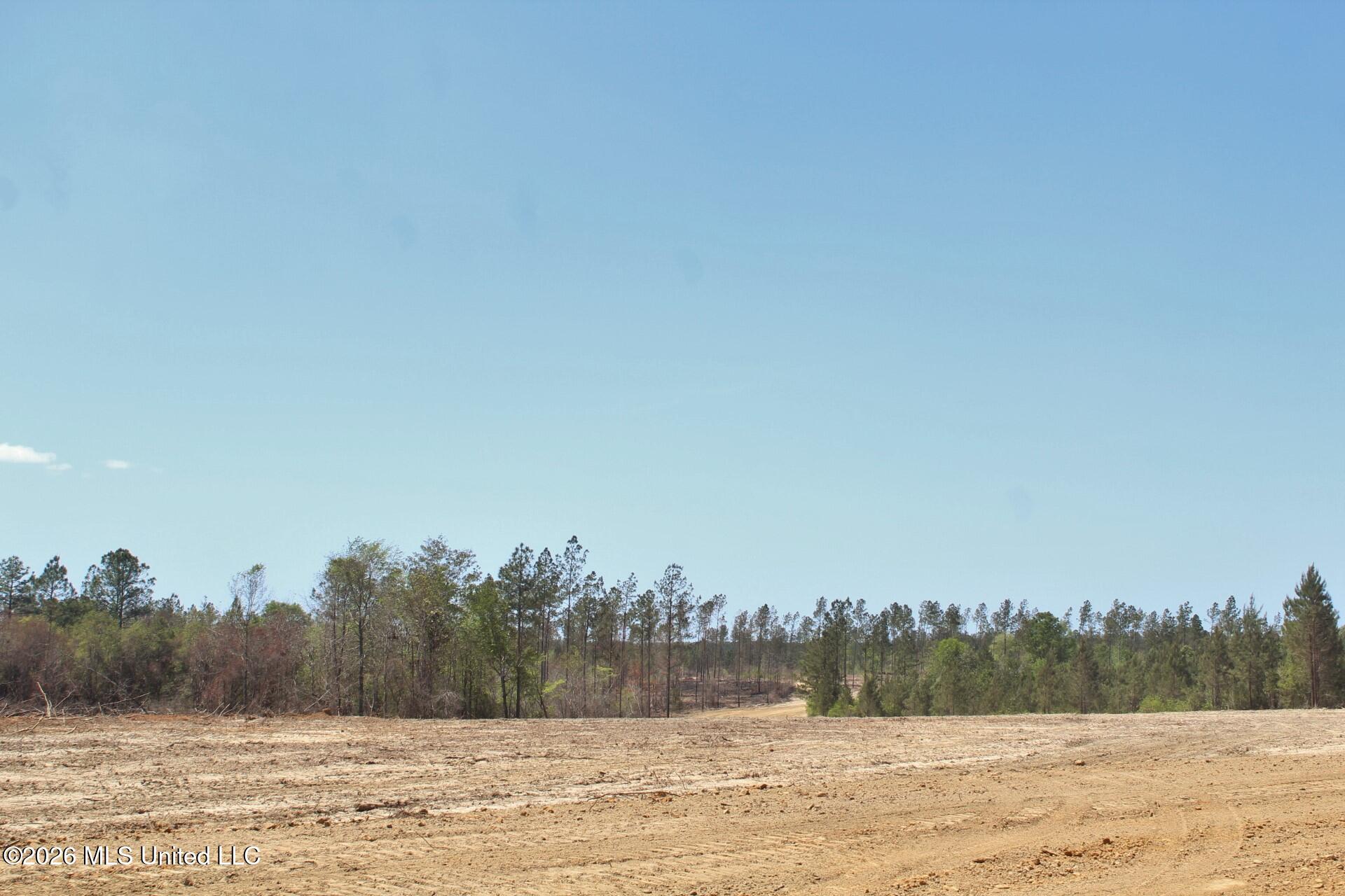 6.01-ac 6.01-ac Little Cedar Road Lucedale, MS 39452 - Photo 14 of 14 IMG_3487