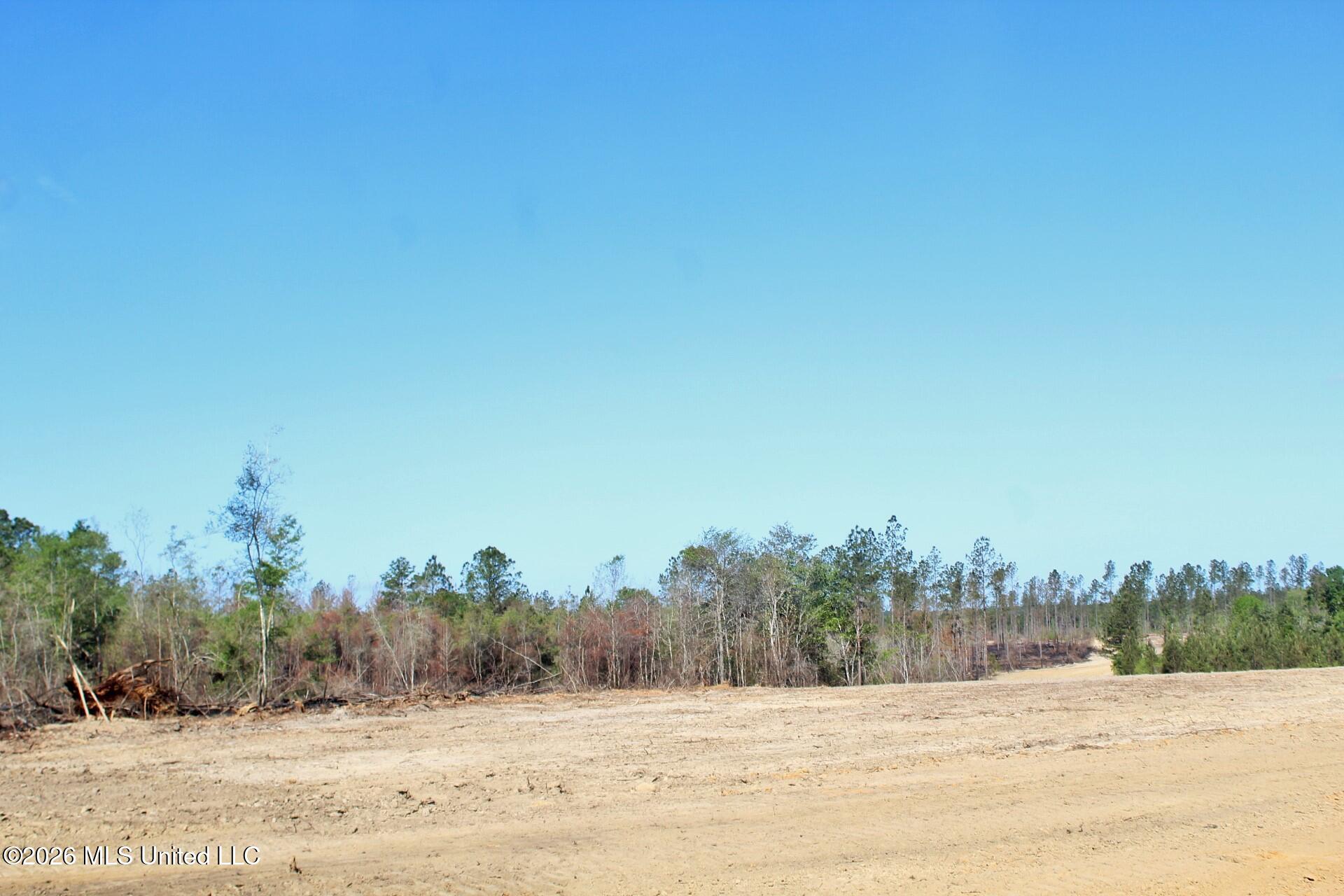 6.01-ac 6.01-ac Little Cedar Road Lucedale, MS 39452 - Photo 5 of 14 IMG_3466