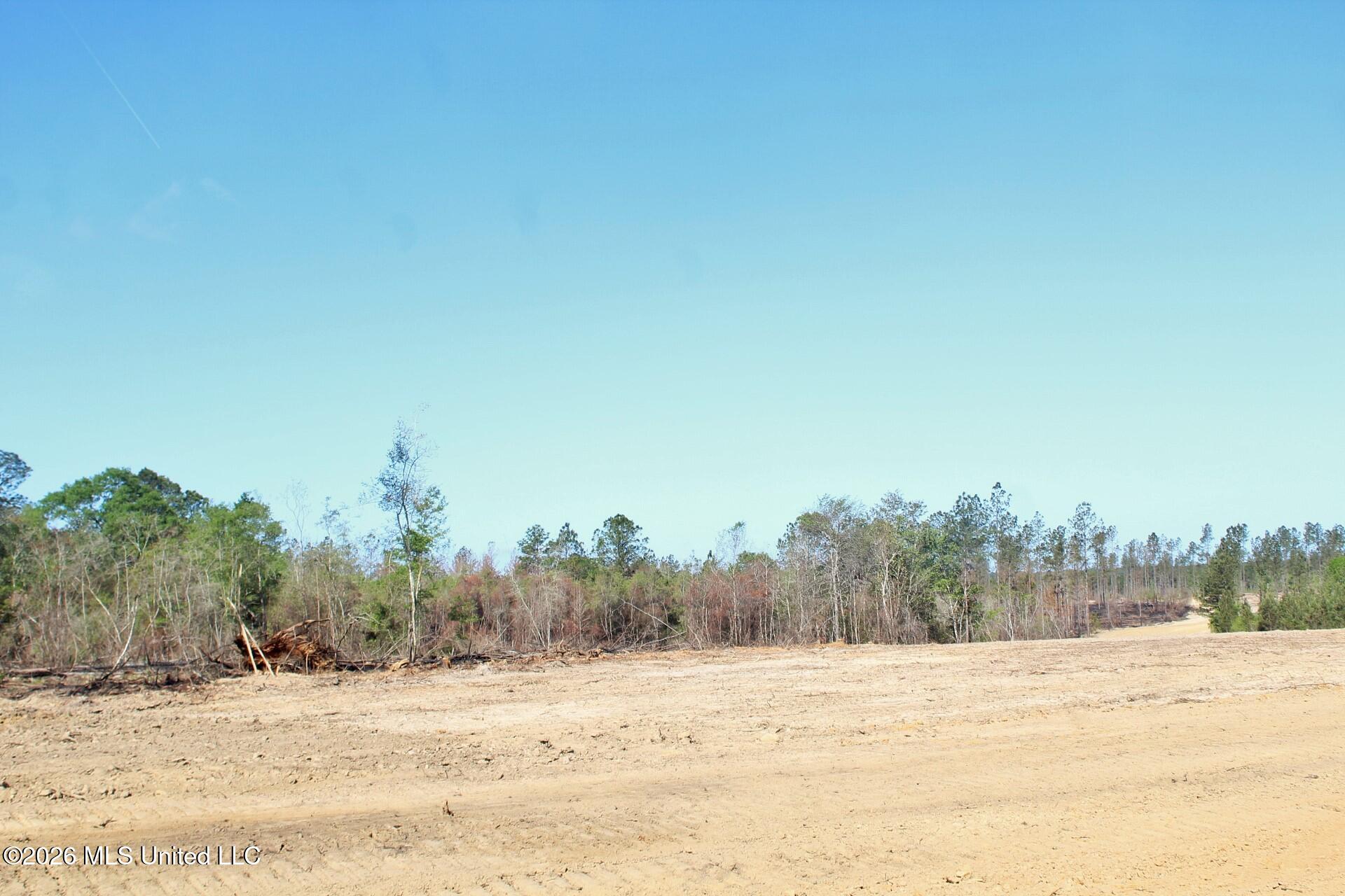 6.01-ac 6.01-ac Little Cedar Road Lucedale, MS 39452 - Photo 6 of 14 IMG_3467