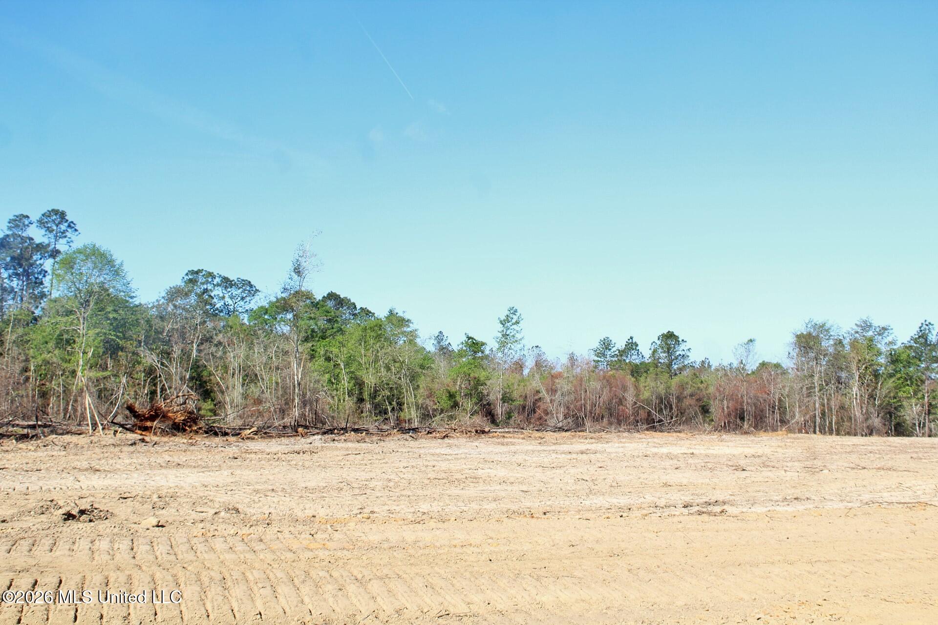6.01-ac 6.01-ac Little Cedar Road Lucedale, MS 39452 - Photo 7 of 14 IMG_3468