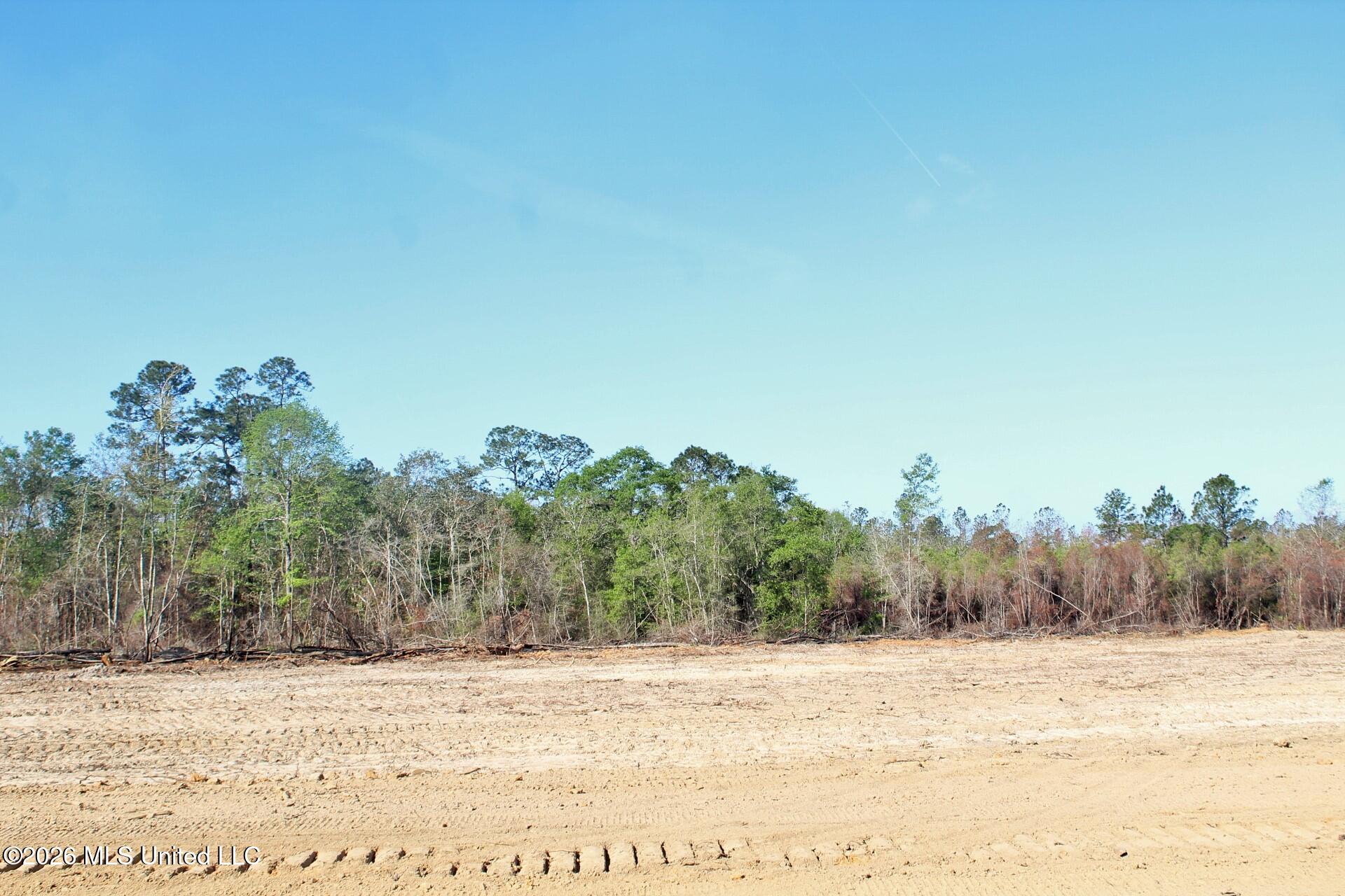 6.01-ac 6.01-ac Little Cedar Road Lucedale, MS 39452 - Photo 8 of 14 IMG_3469