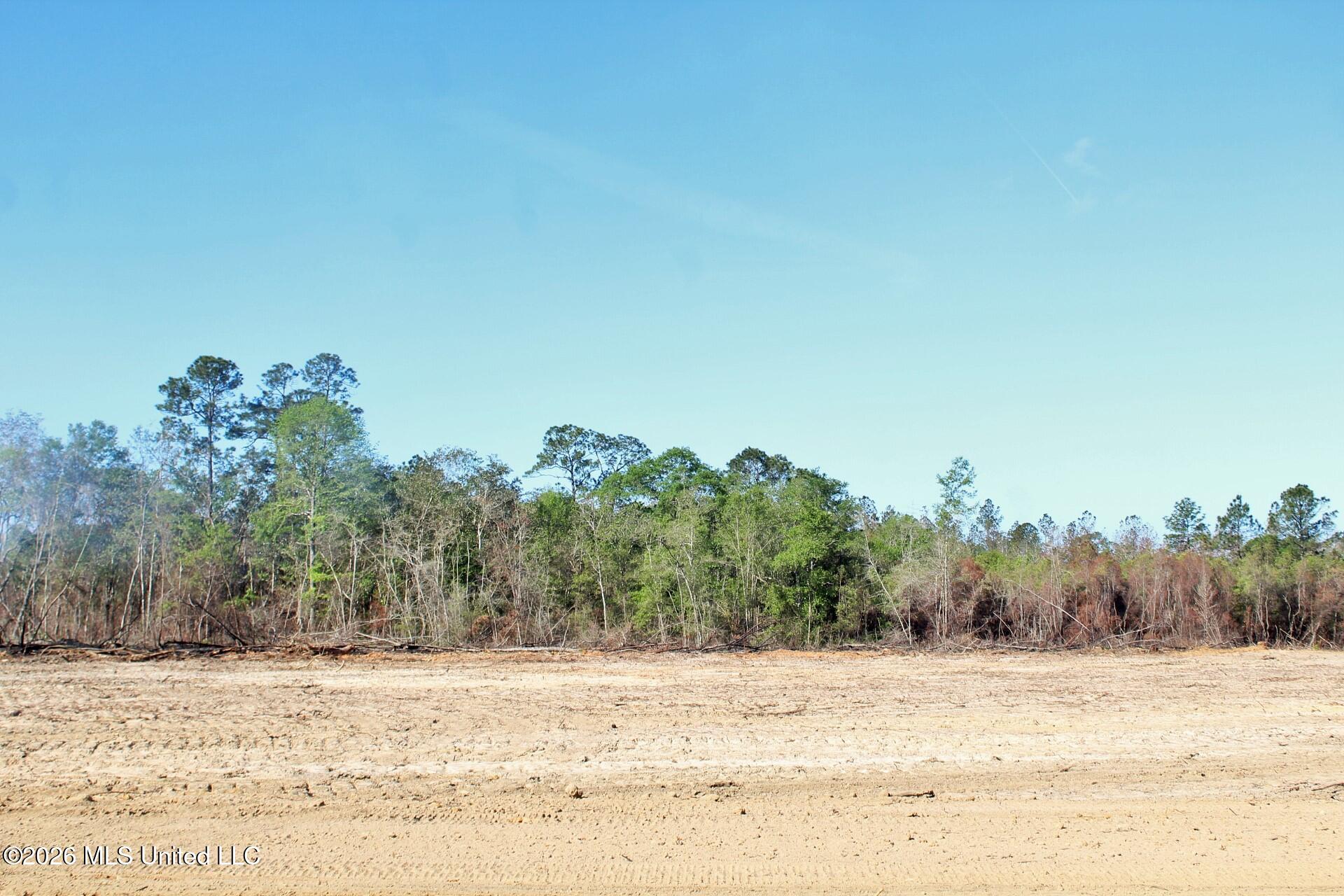 6.01-ac 6.01-ac Little Cedar Road Lucedale, MS 39452 - Photo 9 of 14 IMG_3470