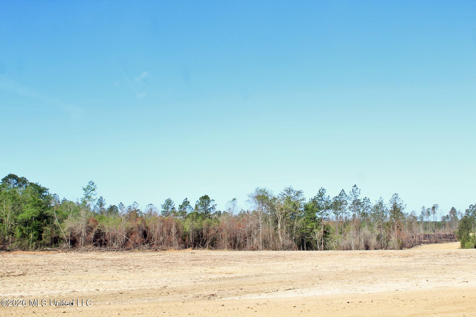 6.01-ac 6.01-ac Little Cedar Road Lucedale, MS 39452 - Photo 10 of 14 IMG_3471