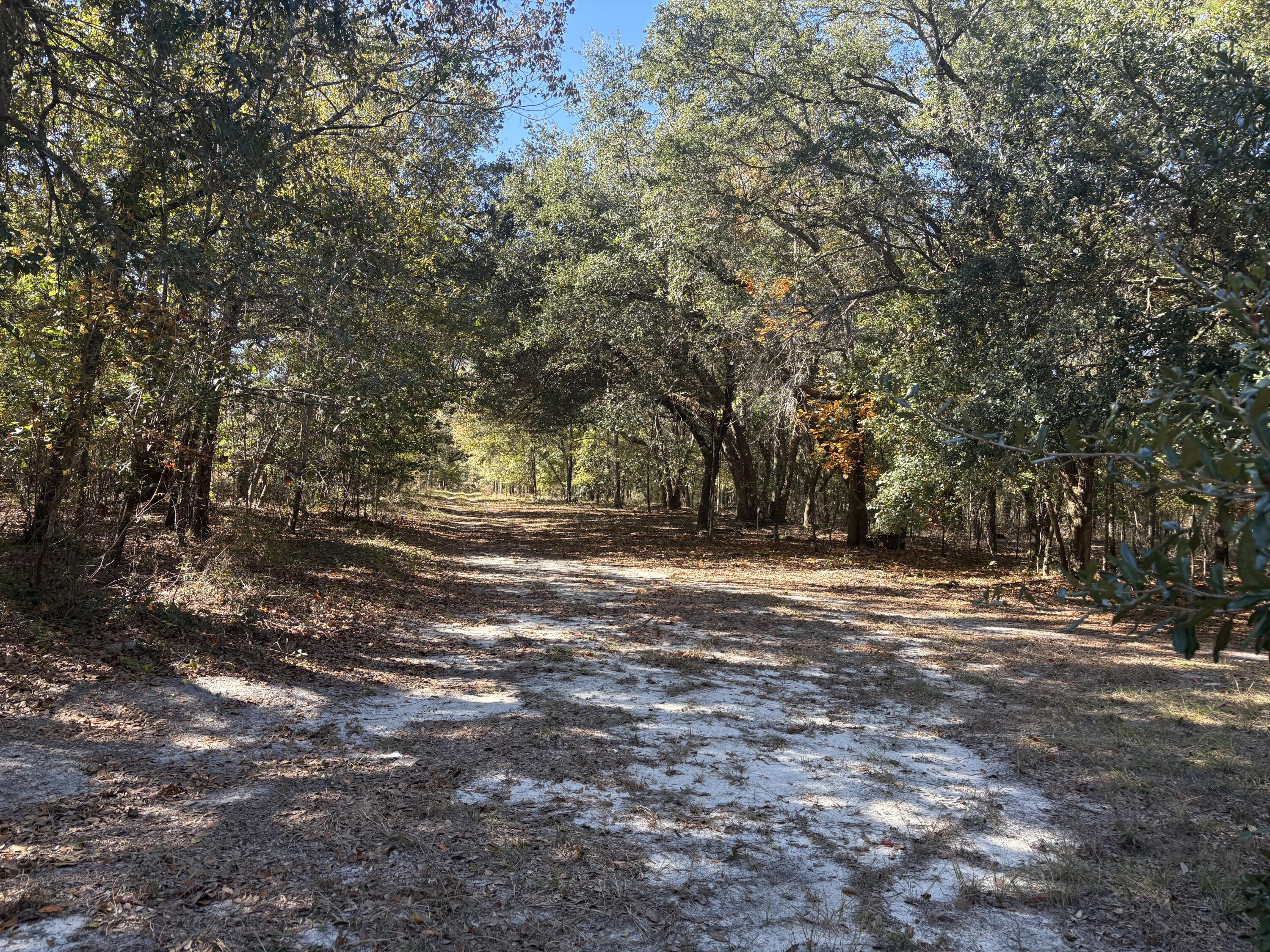 Xxx Sturgeon Road Barnwell, SC 29812 - Photo 3 of 4