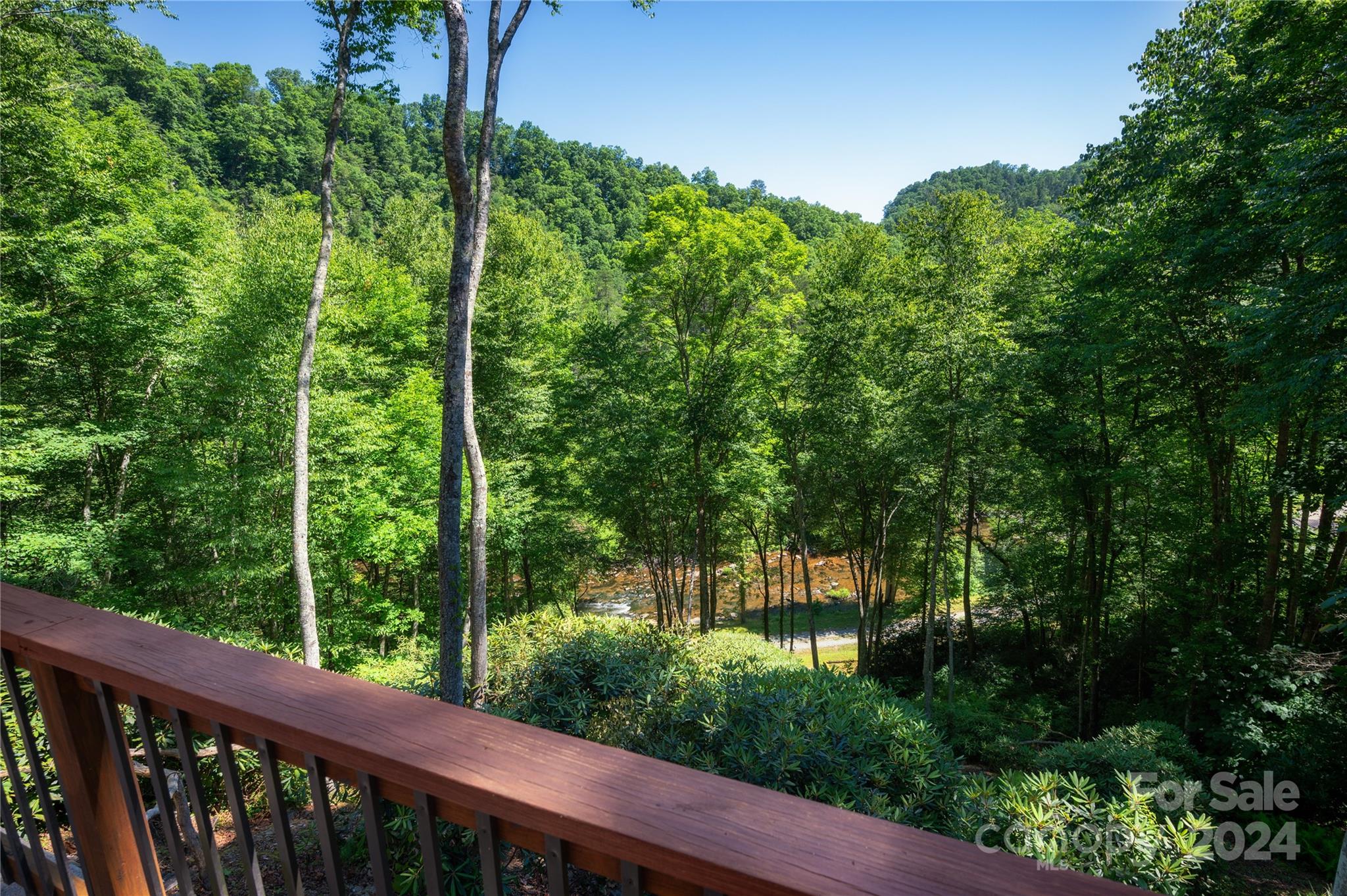 84 Back River Trail Marshall, NC 28753 - Photo 25 of 26