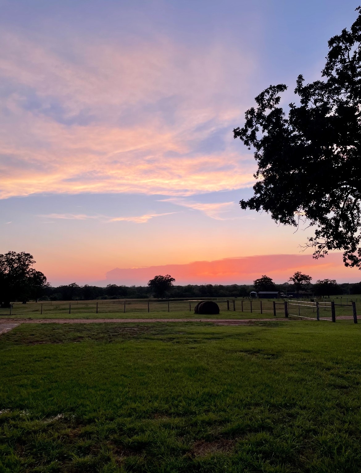 3389 Sparta Field Road Waelder, TX 78959 - Photo 39 of 40 View of yard featuring a rural view