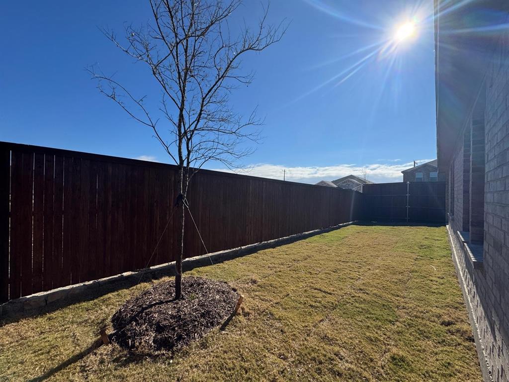 3905 Turquoise Avenue Celina, TX 75009 - Photo 14 of 19 a view of backyard of house