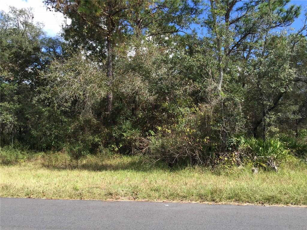 11386 Linnet Road Weeki Wachee, FL 34614 - Photo 1 of 1 Front View