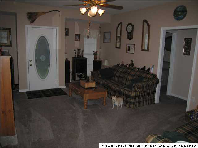 44083 Lake Village Road Prairieville, LA 70769 - Photo 2 of 8 Gallery Image 2