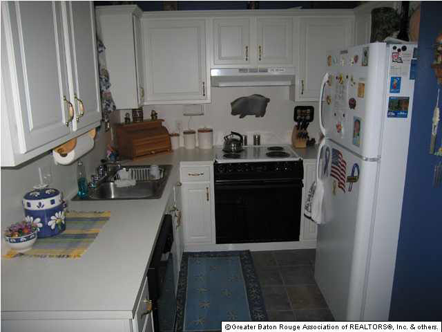 44083 Lake Village Road Prairieville, LA 70769 - Photo 3 of 8 Gallery Image 3