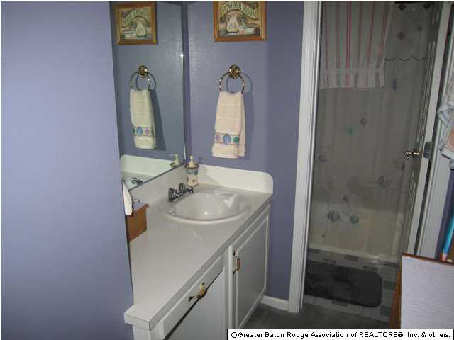 44083 Lake Village Road Prairieville, LA 70769 - Photo 6 of 8 Gallery Image 6