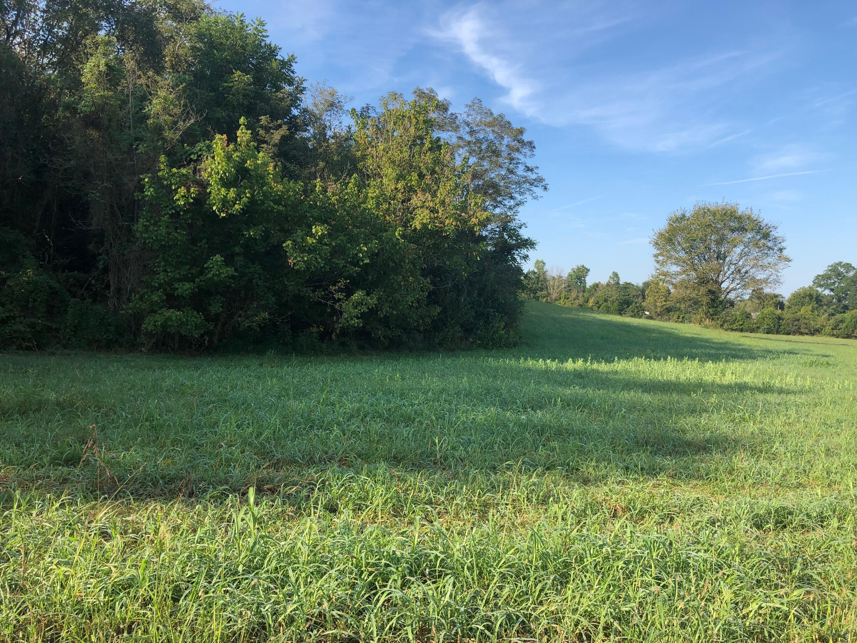 Ninny Ridge Road Whitesburg, TN 37891 - Photo 1 of 8 IMG-3460
