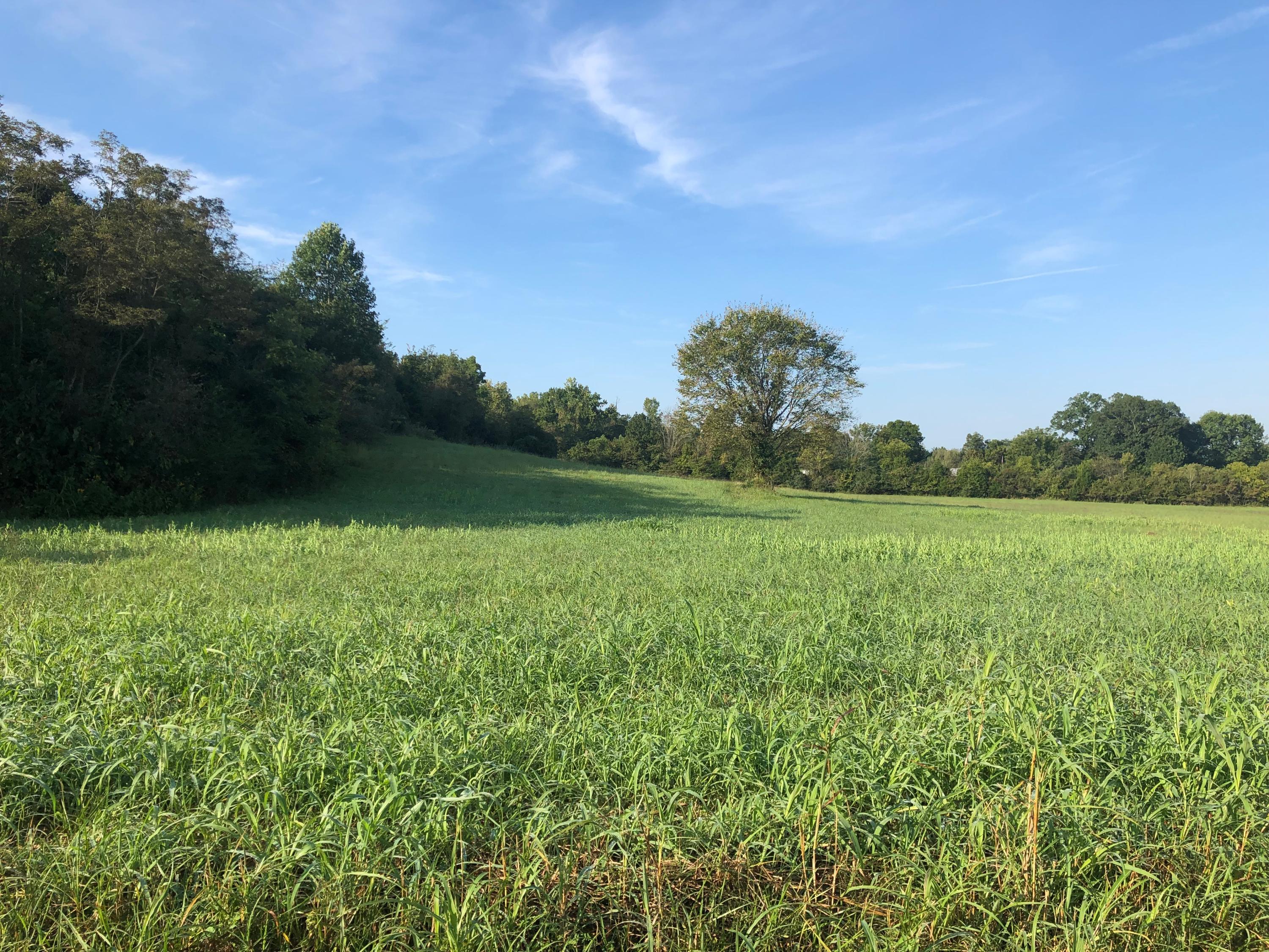 Ninny Ridge Road Whitesburg, TN 37891 - Photo 2 of 8 IMG-3461