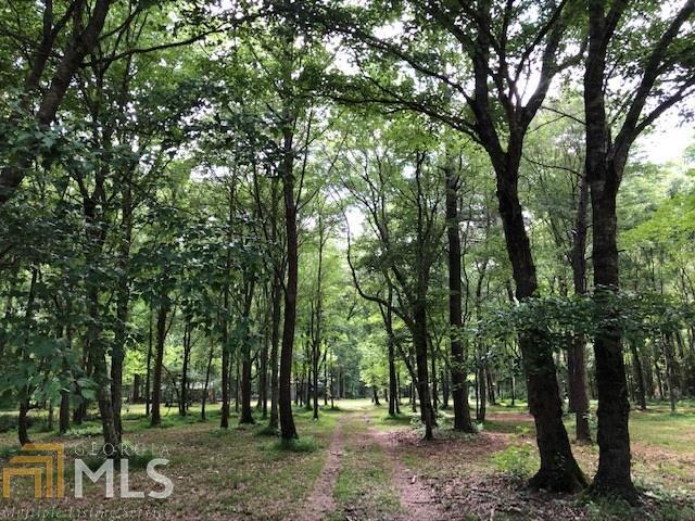 3955 Ridgeway Road Franklin, GA 30217 - Photo 1 of 1