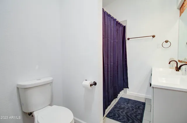 a bathroom with a sink a toilet a shower and vanity