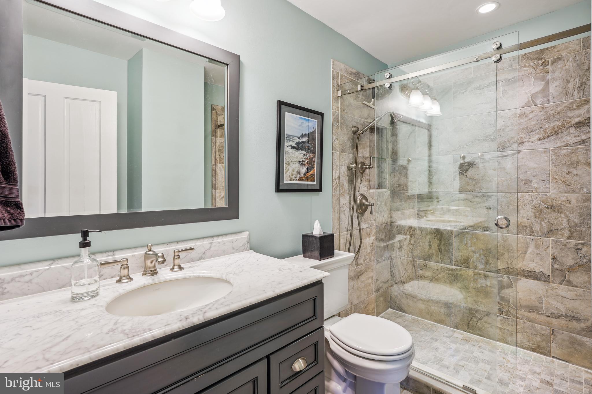 9710 Wightman Road Gaithersburg, MD 20882 - Photo 20 of 46 Renovated Bath on the Main Level
