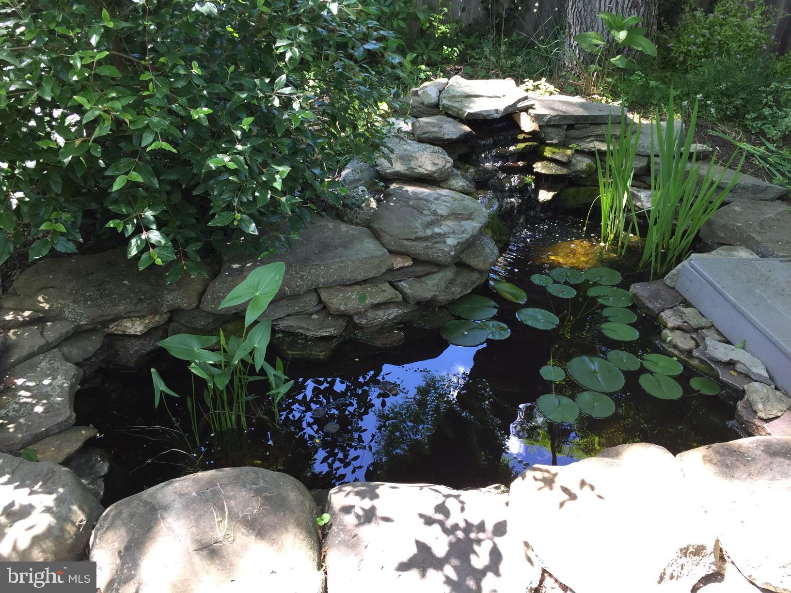 9710 Wightman Road Gaithersburg, MD 20882 - Photo 40 of 46 Tranquil Koi Pond