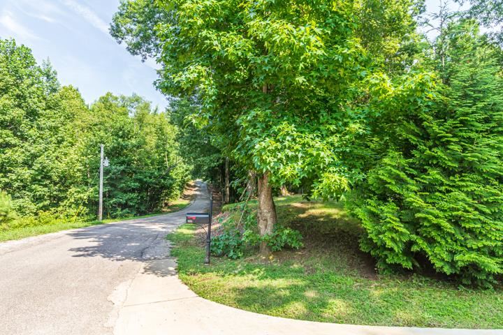 685 Wayne Elam Road Ramer, TN 38367 - Photo 3 of 25 Gallery Image 3