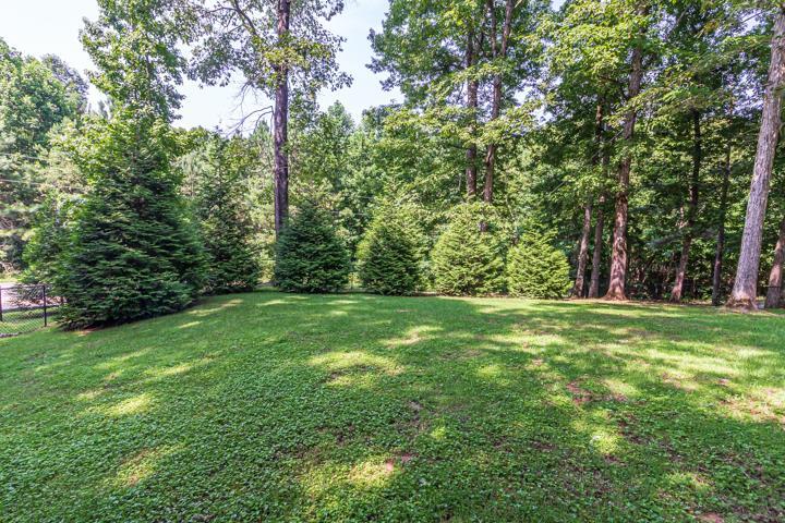 685 Wayne Elam Road Ramer, TN 38367 - Photo 22 of 25 Gallery Image 22