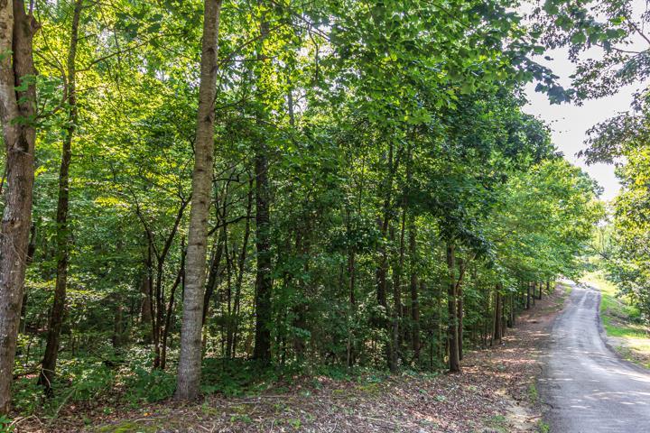 685 Wayne Elam Road Ramer, TN 38367 - Photo 24 of 25 Gallery Image 24