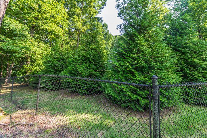 685 Wayne Elam Road Ramer, TN 38367 - Photo 4 of 25 Gallery Image 4