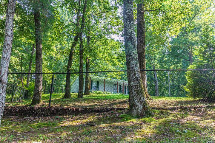 685 Wayne Elam Road Ramer, TN 38367 - Photo 5 of 25 Gallery Image 5