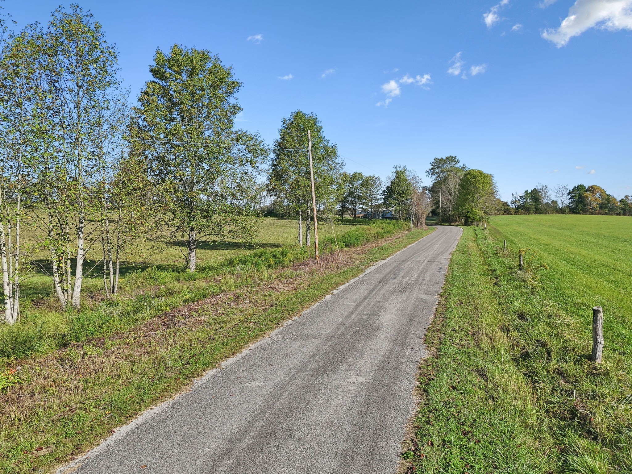 1 7 Springs Road Smithville, TN 37166 - Photo 2 of 19 a view of a park with large trees
